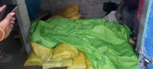 photo 2023 08 23 06 47 48